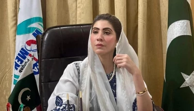 punjab women protection authority chairperson and punjab assembly member hina pervez butt photo file punjab women protection authority chairperson and punjab assembly member hina pervez butt photo file