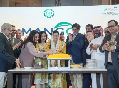 first lady aseefa bhutto zardari highlights cultural diplomacy at mango diplomacy festival 2026 first lady aseefa bhutto zardari highlights cultural diplomacy at mango diplomacy festival 2026