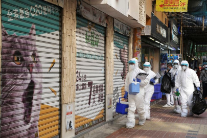 thousands in hong kong volunteer to adopt hamsters amid covid 19 fears thousands in hong kong volunteer to adopt hamsters amid covid 19 fears