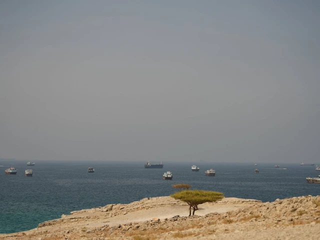 Iran's Rezaei says restricted zone to be announced around Strait of Hormuz