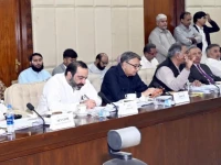 the senate standing committee on interior passes a series of bills including one proposing the death penalty for perpetrators of acid attacks on monday photo via x