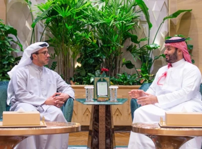 uae vice president meets saudi crown prince in riyadh