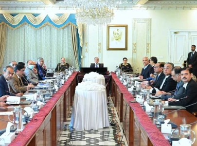 pm shehbaz forms task force to combat human trafficking