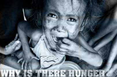 are you going to pig out today are you going to pig out today