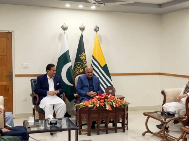 Hurriyat delegation meets AJK president, discusses Kashmir situation