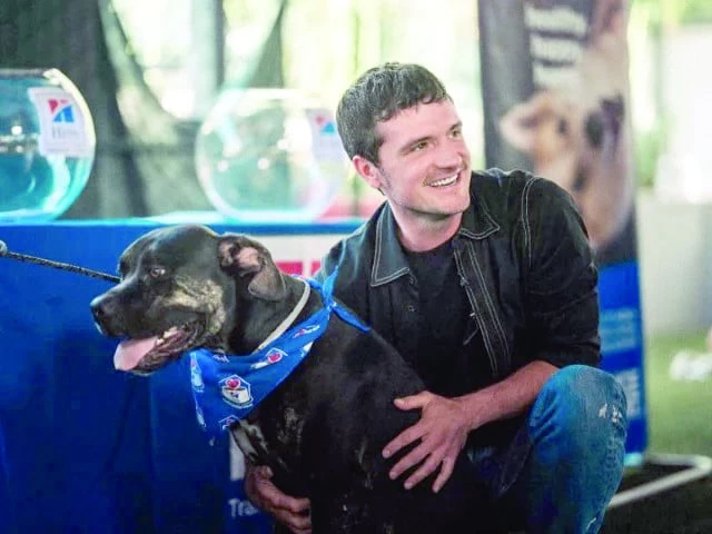 josh hutcherson nearly played iconic role before hunger games josh hutcherson nearly played iconic role before hunger games