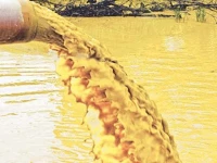 indus turns sewer hyderabad s untreated wastewater crisis deepens