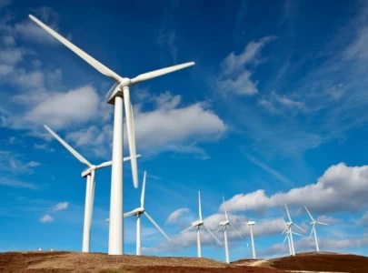 pakistan denmark discuss green energy