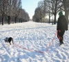 a woman walks her dog in the snow covered cours de la reine garden in paris as winter weather with snow and cold temperatures hits a large part of the country france january 6 2026 photo reuters