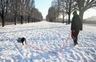 a woman walks her dog in the snow covered cours de la reine garden in paris as winter weather with snow and cold temperatures hits a large part of the country france january 6 2026 photo reuters a woman walks her dog in the snow covered cours de la reine garden in paris as winter weather with snow and cold temperatures hits a large part of the country france january 6 2026 photo reuters