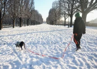 a woman walks her dog in the snow covered cours de la reine garden in paris as winter weather with snow and cold temperatures hits a large part of the country france january 6 2026 photo reuters a woman walks her dog in the snow covered cours de la reine garden in paris as winter weather with snow and cold temperatures hits a large part of the country france january 6 2026 photo reuters