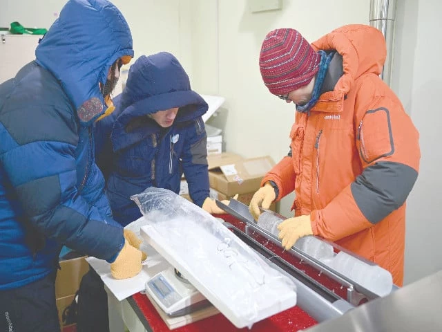 researchers examine an ice core sample taken from a glacier in the pamir mountain range in tajikistan at the hokkaido university institute of low temperature science in sapporo in northern japan s hokkaido prefecture photo afp researchers examine an ice core sample taken from a glacier in the pamir mountain range in tajikistan at the hokkaido university institute of low temperature science in sapporo in northern japan s hokkaido prefecture photo afp