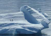 the southern ocean also referred to as the antarctic ocean encircles antarctica and connects the atlantic pacific and indian oceans photo pixabay the southern ocean also referred to as the antarctic ocean encircles antarctica and connects the atlantic pacific and indian oceans photo pixabay