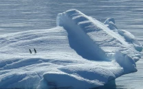 southern ocean s winter carbon emissions underestimated by up to 40 southern ocean s winter carbon emissions underestimated by up to 40
