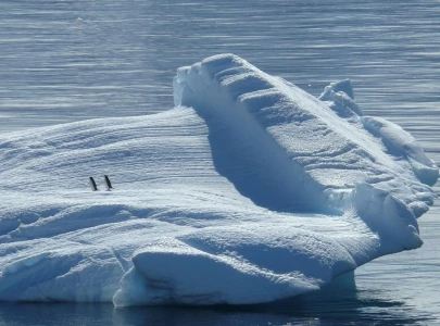 southern ocean s winter carbon emissions underestimated by up to 40 southern ocean s winter carbon emissions underestimated by up to 40