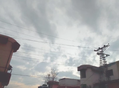 snowless december rings climate alarm