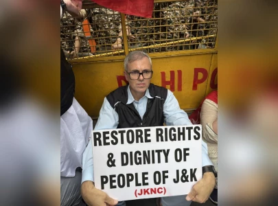 hundreds protest in delhi demanding statehood for iiojk hundreds protest in delhi demanding statehood for iiojk
