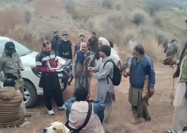 35 hunters fined rs 550 000 for illegal partridge hunting in punjab