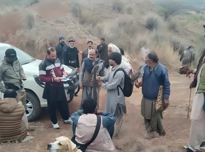 35 hunters fined rs 550 000 for illegal partridge hunting in punjab 35 hunters fined rs 550 000 for illegal partridge hunting in punjab