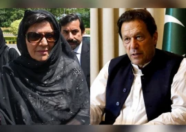 why delay imran khan should be convicted tomorrow aleema khan why delay imran khan should be convicted tomorrow aleema khan