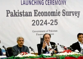 economic survey shows gdp investment targets missed inflation remains under control