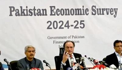 federal minister for finance muhammad aurangzeb briefing media on economic survey 2024 25 at ministry of finance on june 9 2025 photo app