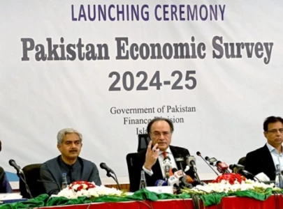 economic survey shows gdp investment targets missed inflation remains under control