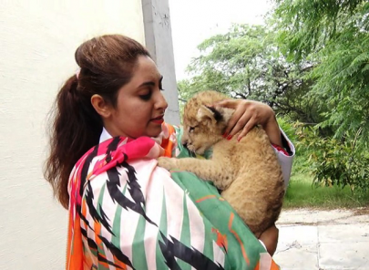 women in conservation mother of lions at lahore safari park