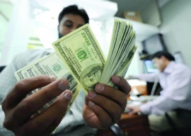 productive structure and income distribution