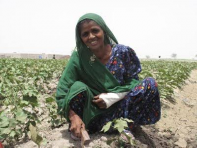 passive laws women in agriculture await equal representation