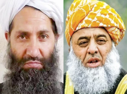 fazl pledges to revive govt ttp talks