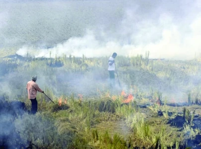 lahore s smog lessons to be learnt