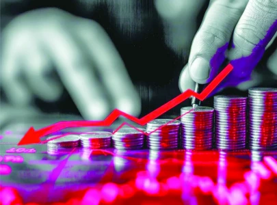 export fall looking beyond numbers