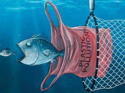 plastic pollution wipes out kabul river s turtles and sher mahi fish plastic pollution wipes out kabul river s turtles and sher mahi fish