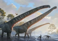 new giant long necked dinosaur fossil discovered in china