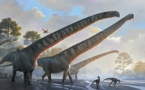 new giant long necked dinosaur fossil discovered in china