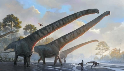 new giant long necked dinosaur fossil discovered in china