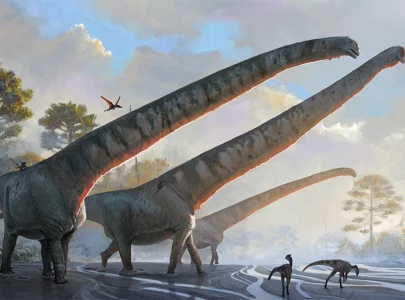 new giant long necked dinosaur fossil discovered in china new giant long necked dinosaur fossil discovered in china