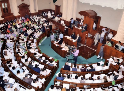 ordinances bypass legislative rules