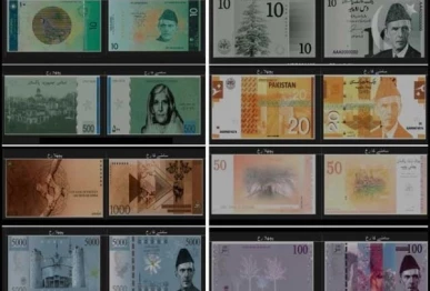 photo express web desk