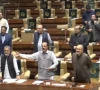 mqm lawmakers protest during the sindh assembly session on friday photo via x mqm lawmakers protest during the sindh assembly session on friday photo via x