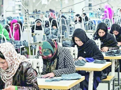 unemployment soars amidst growing population in punjab unemployment soars amidst growing population in punjab