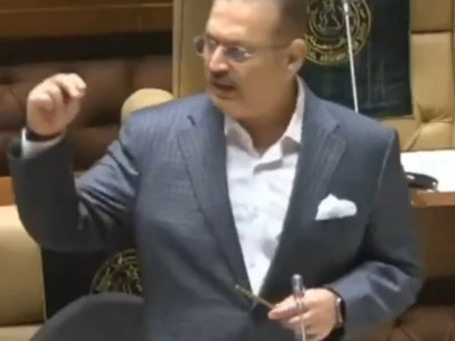 Sharjeel Memon lambasts 'Form 47' federal ministers over new provinces