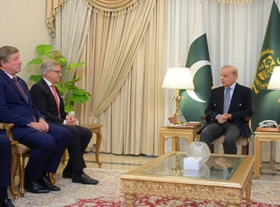 pm shehbaz emphasises need for safe orderly migration in meeting with eu commissioner