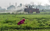 40 post harvest losses hit growers