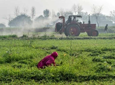 40 post harvest losses hit growers