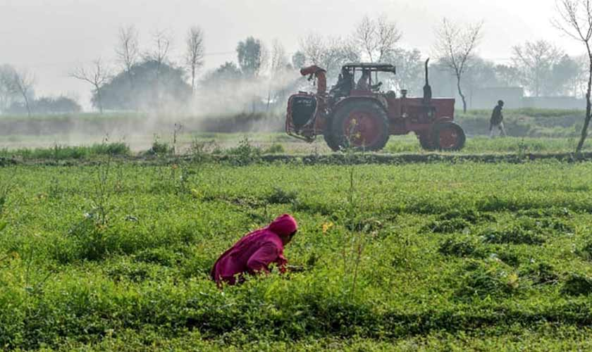 40% post-harvest losses hit Pakistani growers amid cold storage gap and energy outages