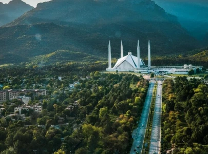 traditional family households face decline