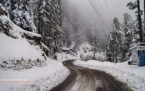 festive surge lights up nathia gali