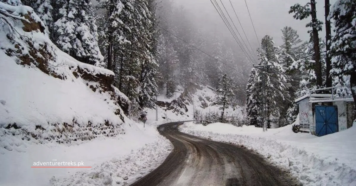 Festive surge lights up Nathia Gali as thousands of Eid holidaymakers flock to scenic hills